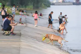 热浪滚滚，市民纷纷到杨泗港大桥下消暑图片