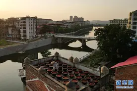 湖南双峰：三伏天 晒酱忙图片