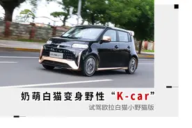 K-car造型 动力符合预期 试驾欧拉白猫小野猫版图片