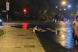 暴雨后，杭州9岁女孩一直在路边等爸爸，这张照片刷爆朋友圈图片