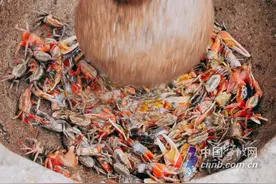 轻捣细磨出美味 一口红钳蟹糊留住奉化渔家记忆图片