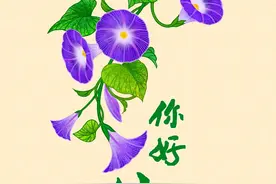 清华与你，八月相遇图片