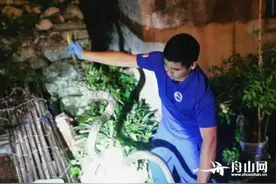 台风过后+天热，长峙岛有蛇出没请注意图片