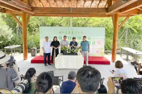 时尚青岛花漾生活 首届荷花节亮相青岛世博园图片