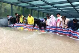 教科书式自救！暴雨后小区地库里300多辆车完好无损图片