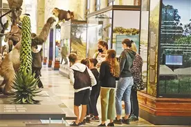 欧洲孩子怎么过暑假图片