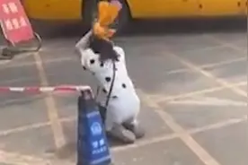 女子驾考科三5次没过，心态崩溃在考场门口撒泼