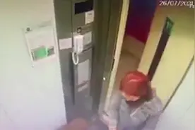 巴西一只宠物狗牵引绳被电梯门夹住险窒息 主人扒开门相救图片