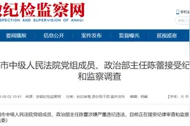 阜阳市中级人民法院党组成员、政治部主任陈蕾接受审查调查图片