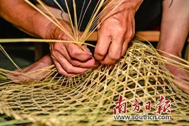 斗笠村百年传承 匠心编织好生活图片