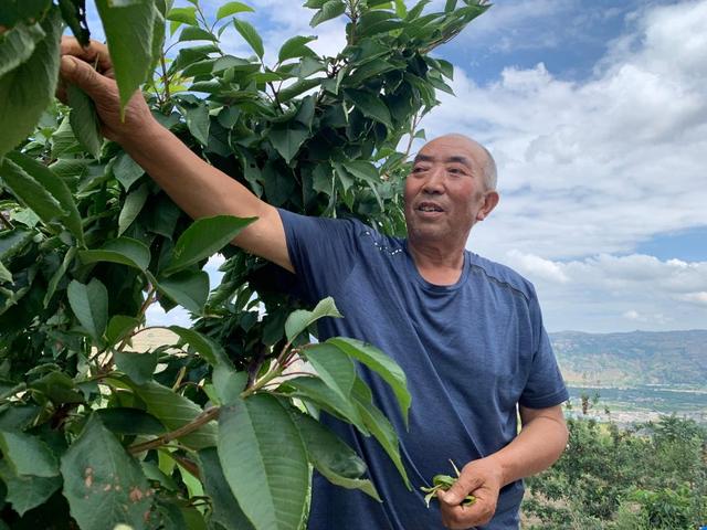 百余奖牌挂满墙，这个古村落有啥不一样？