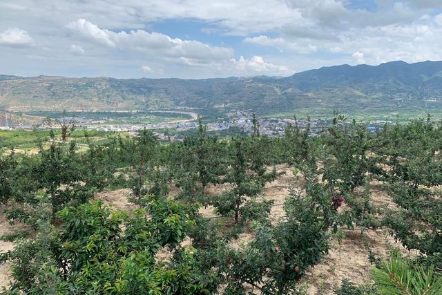 百余奖牌挂满墙，这个古村落有啥不一样？