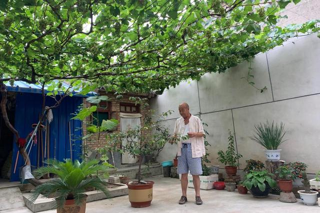 百余奖牌挂满墙，这个古村落有啥不一样？