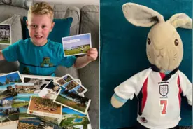 男孩玩具兔丢失情绪崩溃 网友寄明信片自称是兔子本兔图片