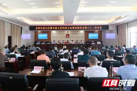 快讯！陈淼被任命为岳阳市君山区代理区长图片