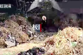 高速桥下突现大量来历不明垃圾，城管蹲守两昼夜解开谜底图片