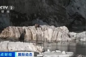 每天融冰约80亿吨！世界第二大冰盖正在大面积融化……图片