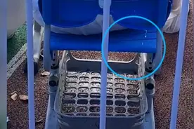 抗疫特写丨志愿者汗水穿透防护服滴到地上视频封面
