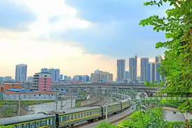 南宁这条路成网红打卡地 居民一开门就是“长枪短炮”图片