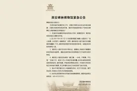 西安多景区紧急公告！机场防控新规开始实施图片