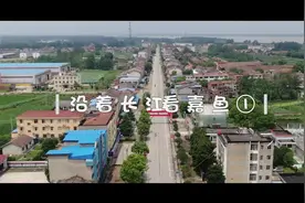 《沿着长江看嘉鱼》①|陆溪镇引进能人创业，80后女老板与莲藕的不解之缘图片