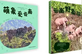 快把大象放进书架：由云南省森林消防总队联合出品的《萌象爱云南》《云南野象旅行记》将出版发行图片