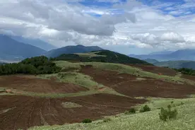 凉山：4000米高山种下2000亩致富中药材图片
