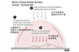 北半球“发烧”了？北美“烧”过，欧洲“烧”，最高气温将达47℃图片