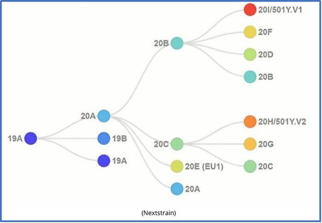 法科学家发声！溯源不应基于政治偏见的有罪推定
