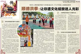 「佛山文脉」顺德洪拳：让非遗文化绽放迷人光彩图片