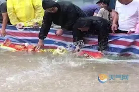 河南郑州：暴雨后一小区地库300多辆车完好无损，只因一张防水布图片