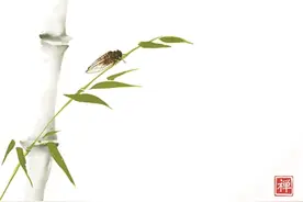 知了声声叫着夏天图片