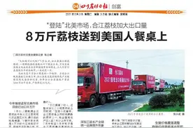 房前屋后种黄桃 绿化增收两不误图片
