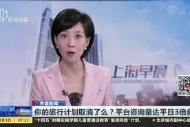 你的旅行计划取消了么？平台咨询量达平日3倍多视频封面