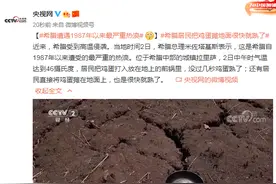 希腊遭遇1987年以来最严重热浪！鸡蛋摊在地面，很快就熟了……图片