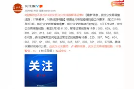 武汉公交再调整线路：17条暂停，16条线路调整图片