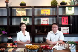 五台县蒋坊乡、豆村镇负责人做客网络直播间图片