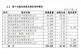 长城华西银行增资扩股方案获批，今年上半年净利增长近65%图片
