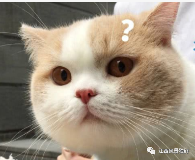 客家人的传统小吃，小时候的回忆，这道美味你吃过吗？