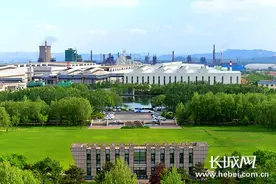 石家庄企业敬业集团首次上榜世界500强图片