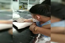 “流血不流泪”！男孩抽血时喊口号为自己打气 坚强模样萌翻众人图片