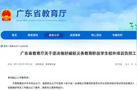 广东省教育厅：这几类新的培训机构不再审批图片