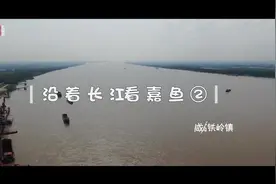 《沿着长江看嘉鱼》②|江边绽放金盛兰，高铁岭镇以大项目推动大发展图片