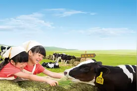 “乳业上游第一股”优然牧业已于9月6日正式纳入港股通图片