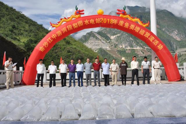 华电集团是国企还是央企（深耕云南打造绿色高质量转型发展“样板”）