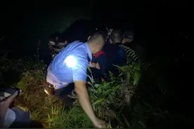 广东八旬老人只身前往深山挖笋，未和家人说明，不久便山中迷路图片