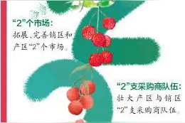 技术“抢鲜”营销抢滩 产值百亿广东荔枝进城出海图片