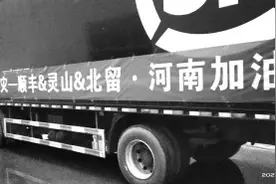 北美留学生们的“河南加油”行动图片