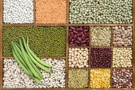 奇妙豆世界（下）丨凡此种种图片