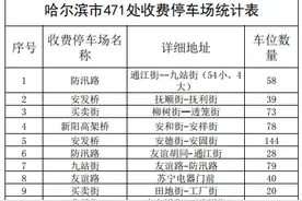 哈尔滨市471处备案收费停车场都在这里 ↘ 发现其他可举报图片